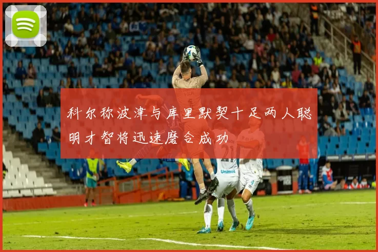 科尔称波津与库里默契十足两人聪明才智将迅速磨合成功