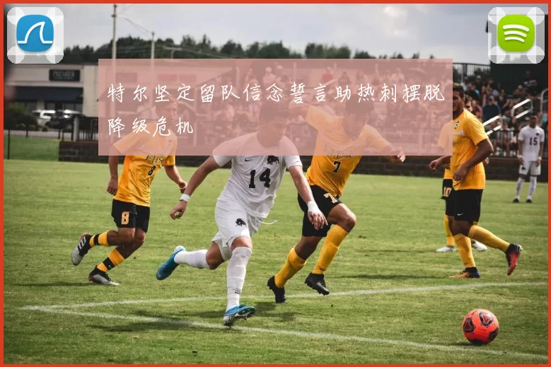 特尔坚定留队信念誓言助热刺摆脱降级危机